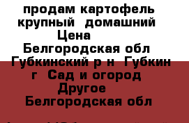 продам картофель, крупный, домашний › Цена ­ 25 - Белгородская обл., Губкинский р-н, Губкин г. Сад и огород » Другое   . Белгородская обл.